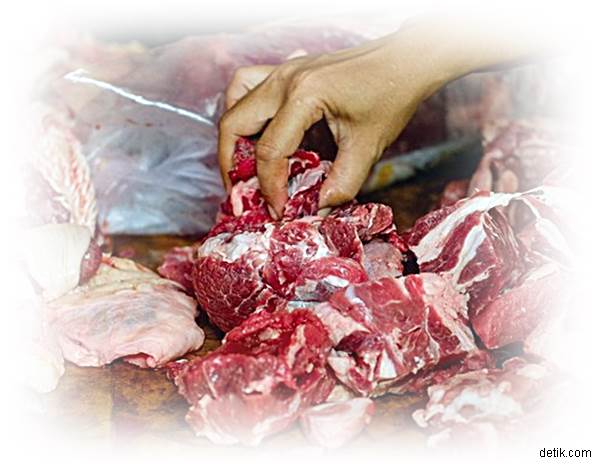 Kenaikan Harga Daging Tak Untungkan Peternak Sapi