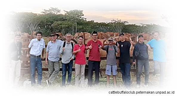 Teknologi Mini Ranch Membuat Peternakan Sapi Daging Lebih Kompetitif